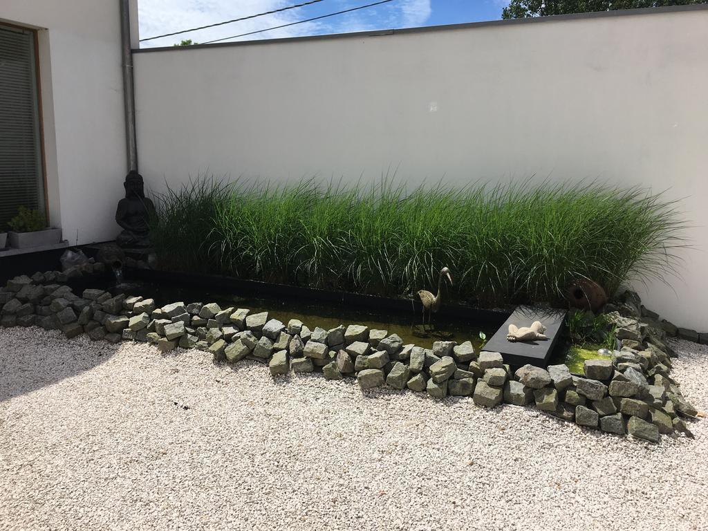 度瑟尔德拉米科莱特住宿加早餐旅馆 Ellezelles 外观 照片